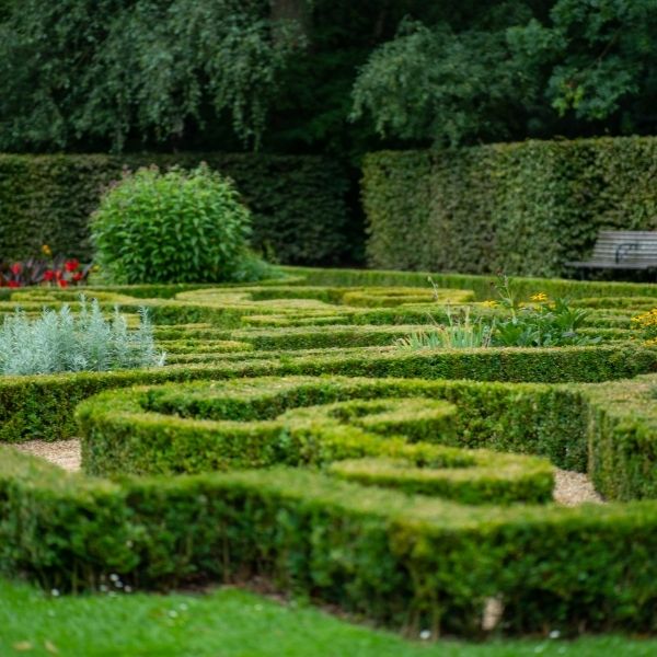 Dentro del laberinto