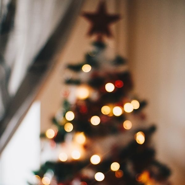 Porqué ponemos arbolito en navidad