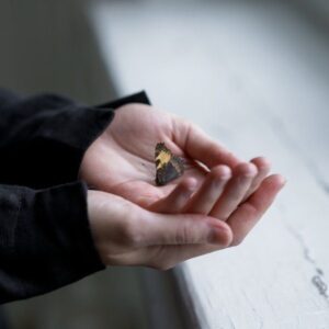 Vía Pexels, cottonbro