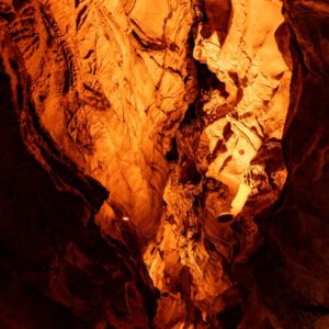 Vía Pexels, Fatih Turan