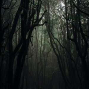 Vía Pexels, Francesco Ungaro