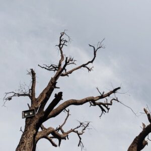 Vía Pexels, Shivam Patel