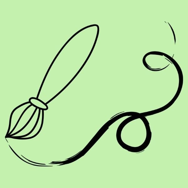 instrumentos de escritura